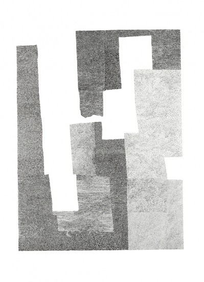 Herbārium VI | litografia | 56 x 38 cm | 2016